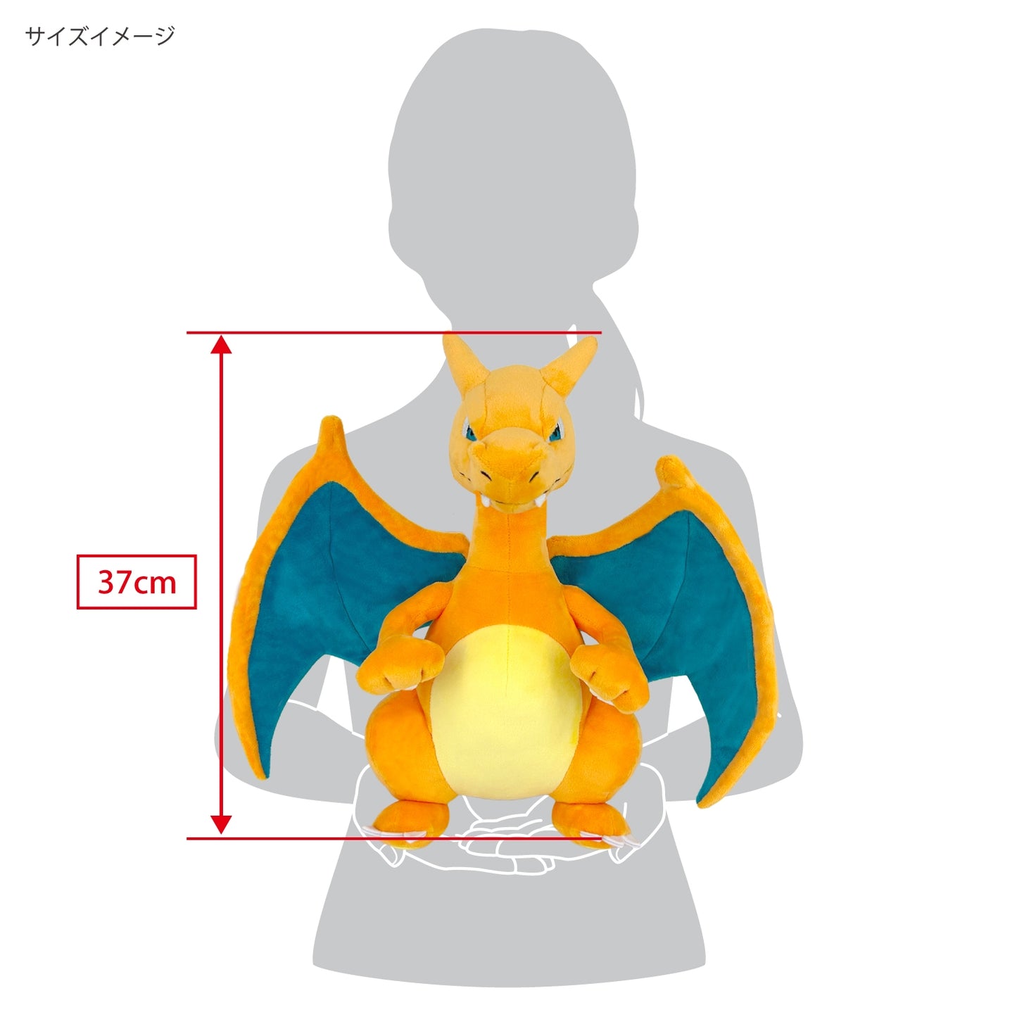Charizard M (Pocket Monsters)