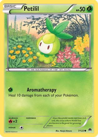 Petilil 7/122 - XY BREAKpoint