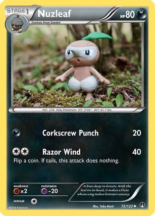 Nuzleaf 72/122 - XY BREAKpoint