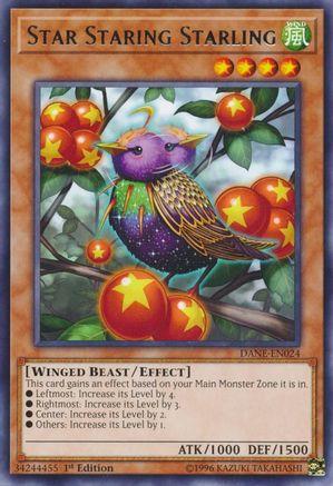 Star Staring Starling (DANE-EN024) - Dark Neostorm Unlimited