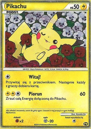 Pikachu (Polish) PW - Pikachu World Collection Promos Holofoil