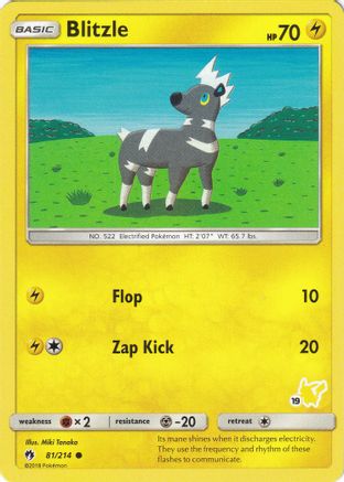 Blitzle - 81/214 (#19 Pikachu Stamped) - Battle Academy