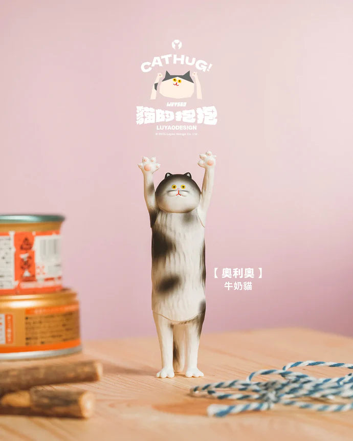 The Hugging Cat Series Blind Box (1 Random Box)