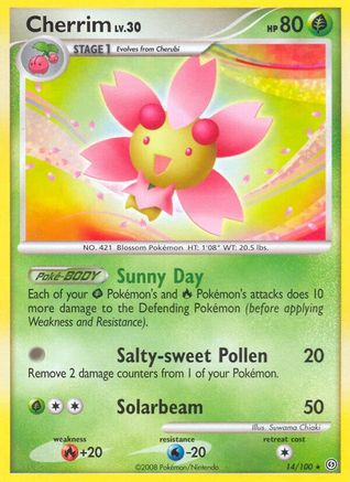 Cherrim/100 - Stormfront Reverse Holofoil