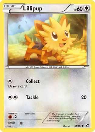Lillipup (81)/114 - Black and White Reverse Holofoil