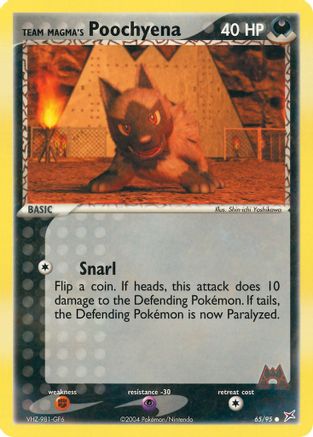 Team Magma's Poochyena - 65/95/95 - Team Magma vs Team Aqua Reverse Holofoil