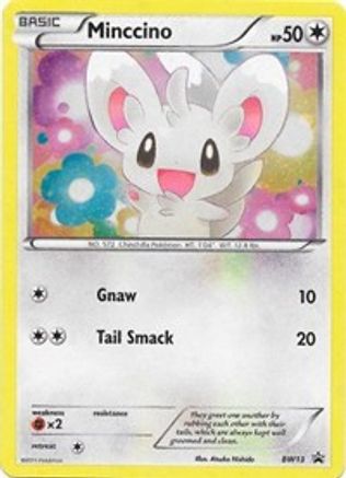 Minccino - BW13 (Cracked Ice Holo) - Black and White Promos Holofoil