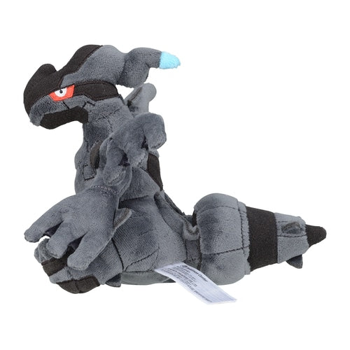 Zekrom (Pokémon fit)