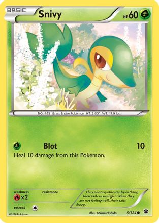 Snivy 5/124 - XY  Fates Collide