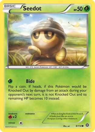 Seedot 9/114 - XY  Steam Siege Reverse Holofoil