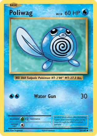Poliwag 23/108 - XY  Evolutions