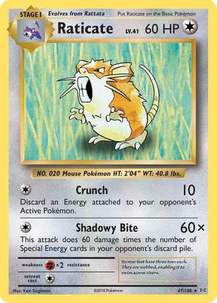 Raticate 67/108 - XY  Evolutions Reverse Holofoil