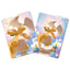 Pokémon Center Japan Official: Dragonite Deck Box