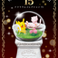 Pokemon Terratium Collection 15 (1 Random Box) (Re-ment Blind Box)