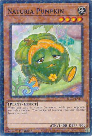 Naturia Pumpkin (Duel Terminal) (HAC1-EN117) - Hidden Arsenal: Chapter 1 1st Edition