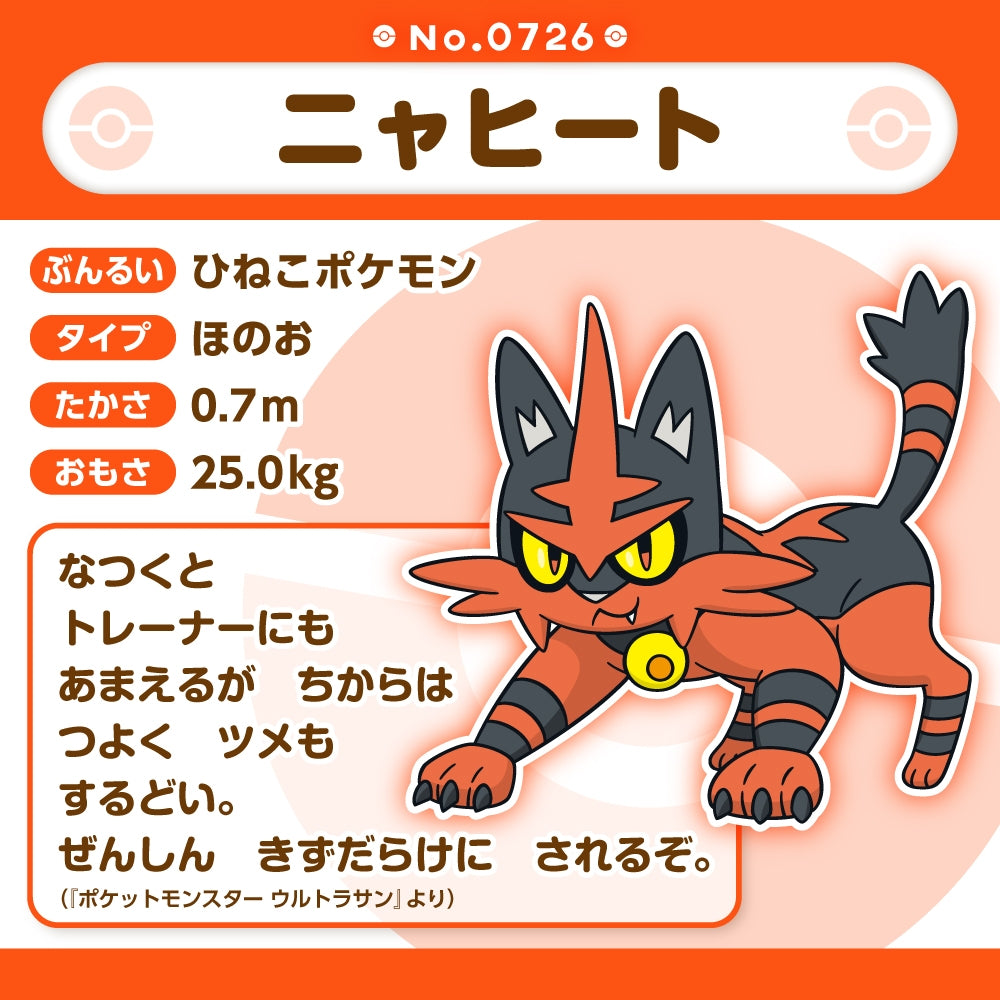 Torracat (Pokemon fit)