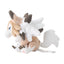 Lycanroc (Pokemon Fit)