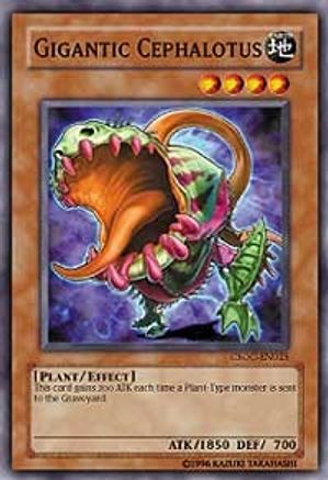 Gigantic Cephalotus (CSOC-EN025) - Crossroads of Chaos Unlimited