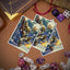 Magic: The Gathering - Final Fantasy - Vivi Ornitier Apex Deck Protector Sleeves