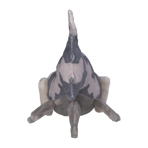 Relicanth (Pokémon fit)
