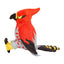 Talonflame (Pokémon fit)