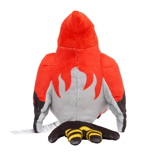 Talonflame (Pokémon fit)