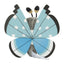 Vivillon Tundra (Pokémon fit)