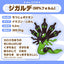 Zygarde 50% (Pokémon fit)