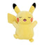 Good Night Pikachu (Sleeping)