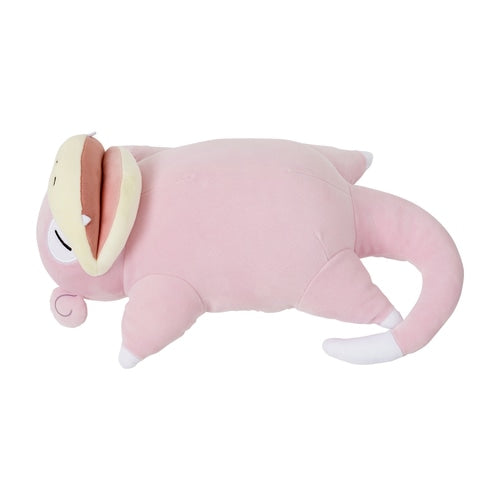 Good Night Slowpoke (Sleeping)