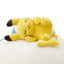 Good Night Snorlax & Pikachu (Sleeping)