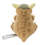 Take a Peak! Plush