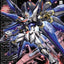 BANDAI STRIKE FREEDOM GUNDAM 1/100 MG