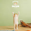 The Hugging Cat Series Blind Box (1 Random Box)