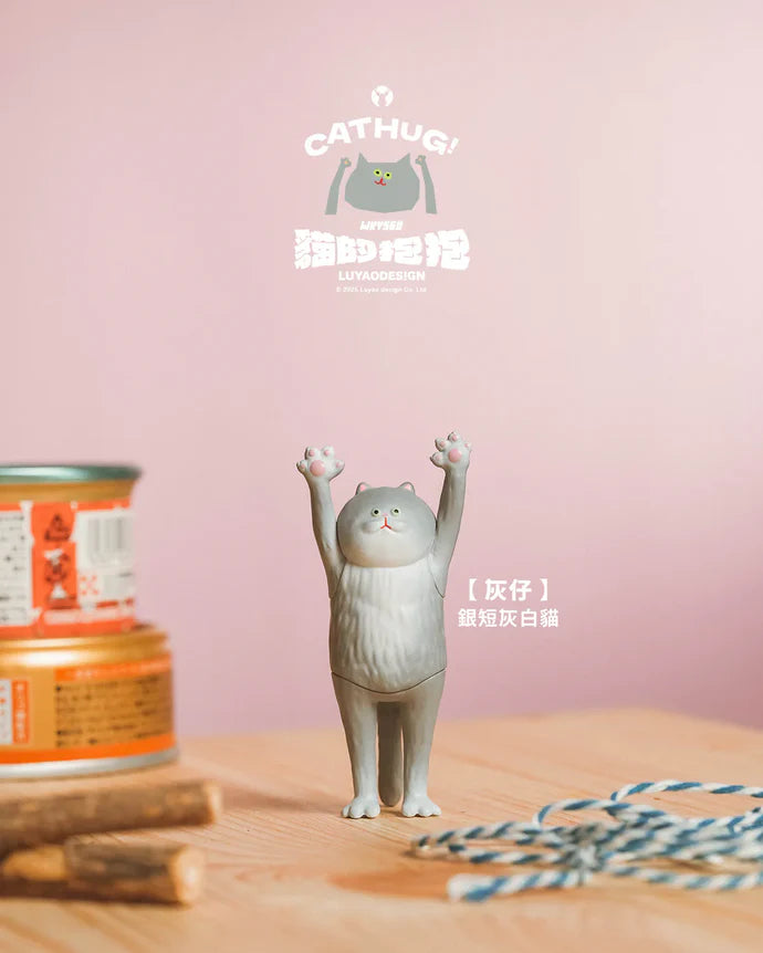 The Hugging Cat Series Blind Box (1 Random Box)