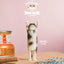 The Hugging Cat Series Blind Box (1 Random Box)