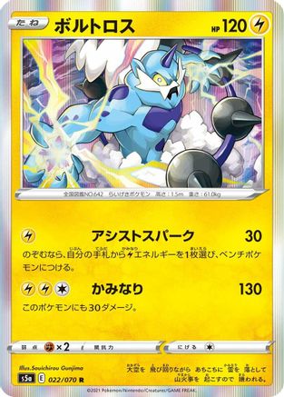[JP] Thundurus (022/070) - S5a Peerless Fighters Holofoil