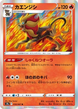 [JP] Pyroar (016/067) - S9a Battle Region Holofoil