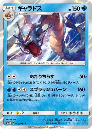 [JP] Gyarados (009/051) - SM3N Darkness that Consumes Light Holofoil