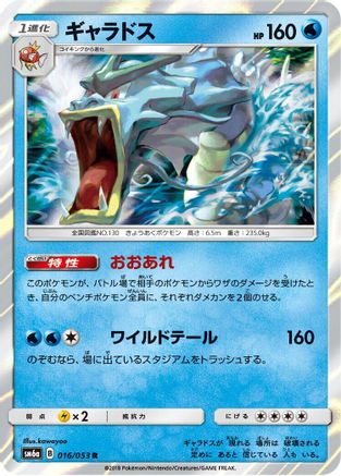 [JP] Gyarados (016/053) - SM6a Dragon Storm Holofoil