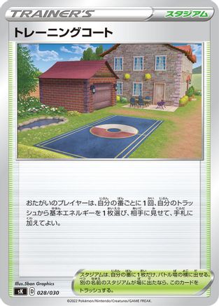[JP] Training Court (028/030) - sK VSTAR Premium Trainer Box