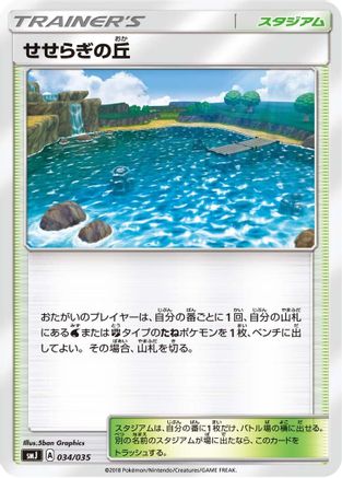 [JP] Brooklet Hill (034/035) - smJ Tag Team GX Premium Trainer Box