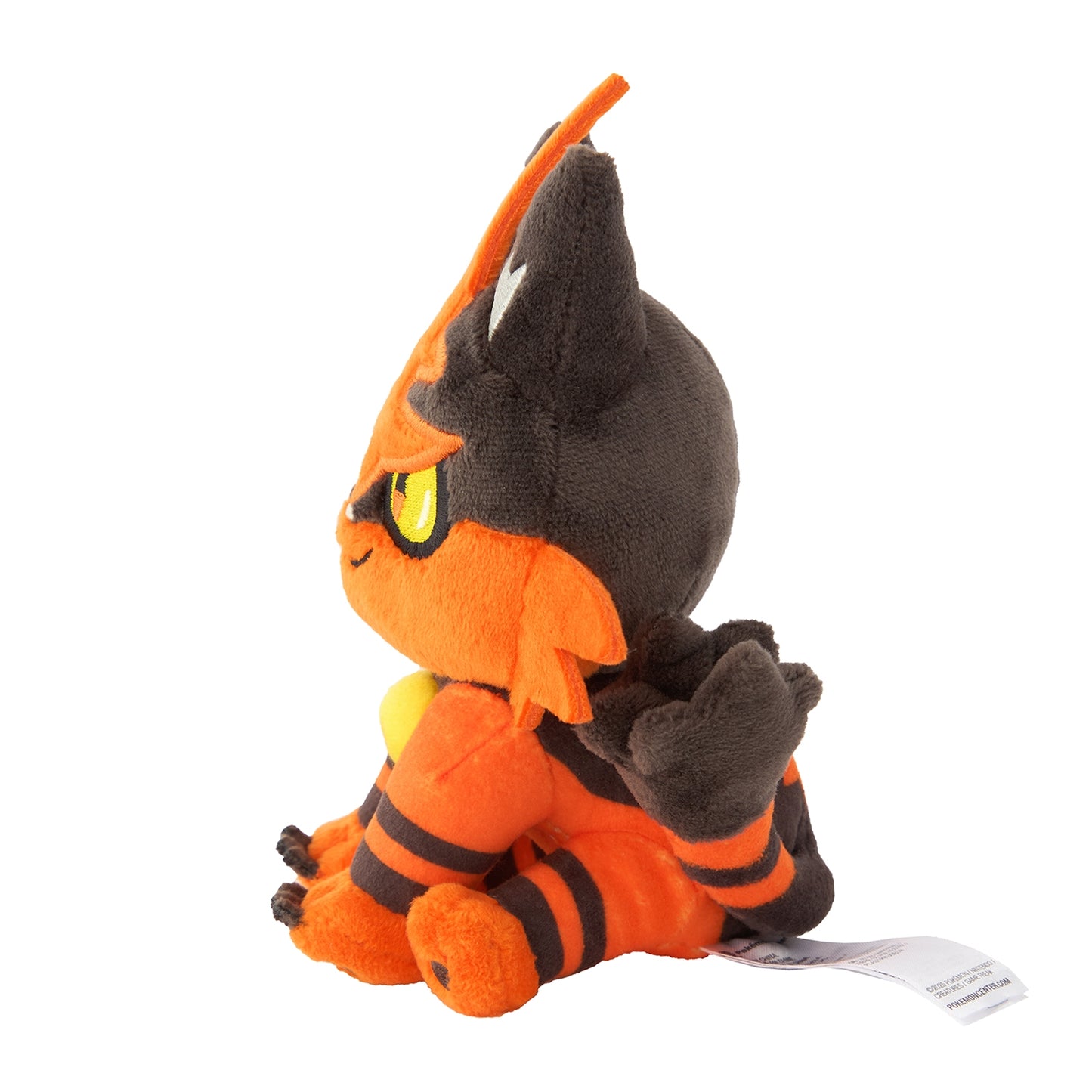Torracat (Pokemon fit)