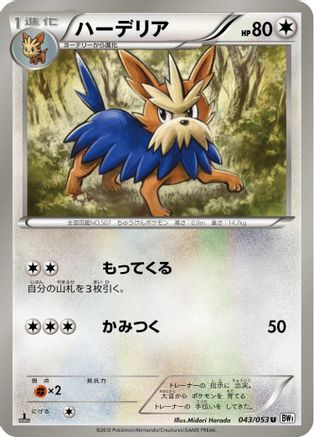 [JP] Herdier (043/053) - BW1 White Collection