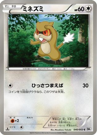 [JP] Patrat (040/053) - BW1 White Collection