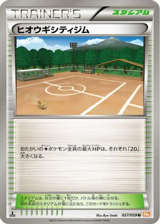[JP] Aspertia City Gym (057/059) - BW6 Cold Flare
