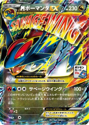 [JP] Salamence - 257/XY-P (257/XY-P) - XYP XY Promos Holofoil