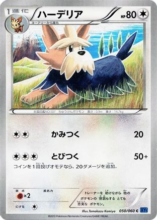 [JP] Herdier (050/060) - XYBx Collection X