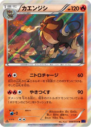 [JP] Pyroar (009/054) - XY11Bb FeverBurst Fighter 1st Edition Holofoil