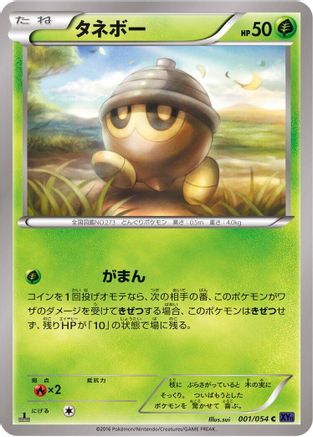 [JP] Seedot (001/054) - XY11Bb FeverBurst Fighter Unlimited
